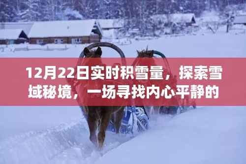 12月22日实时积雪量下的雪域秘境探索,冬日心灵平静之旅