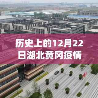 高不成低不就 第2页