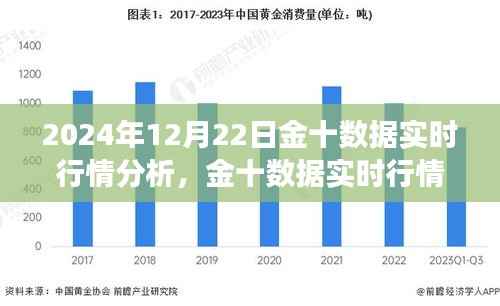 金十数据实时行情洞察,2024年12月22日市场深度分析。