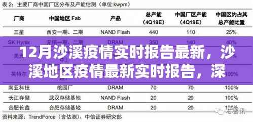 沙溪地区疫情最新实时报告深度解析与案例分析,案例分析篇