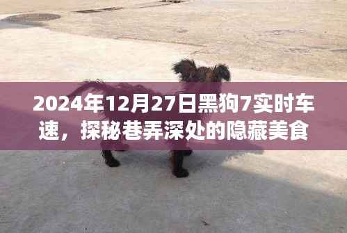 探秘巷弄深处美食，黑狗7车速奇妙小铺的隐藏菜单之旅