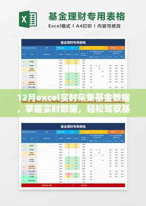 如何利用Excel在十二月实时采集基金数据,掌握投资先机
