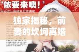 独家揭秘,前妻的坎坷离婚之路