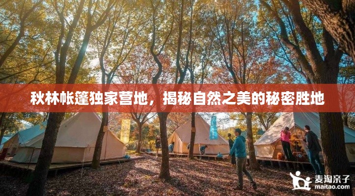 秋林帐篷独家营地,揭秘自然之美的秘密胜地
