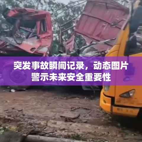 美如冠玉 第3页