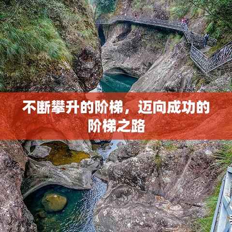 富贵凝香 第2页