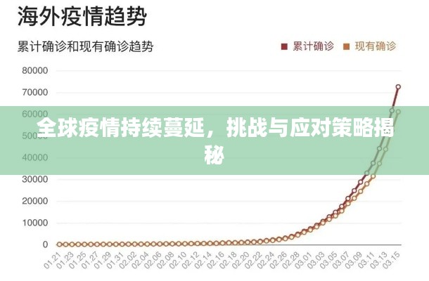 全球疫情持续蔓延,挑战与应对策略揭秘
