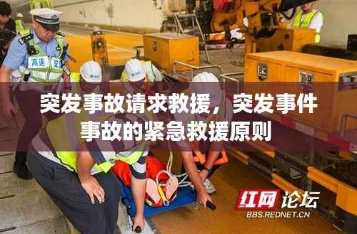 鸷鸟不群 第2页