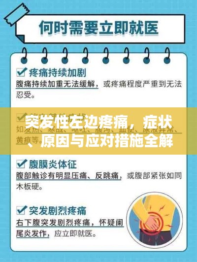 突发性左边疼痛,症状、原因与应对措施全解析