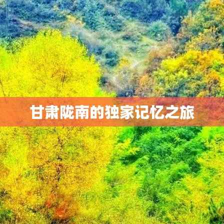 甘肃陇南的独家记忆之旅