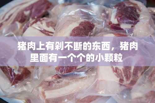 纲举目张 第2页