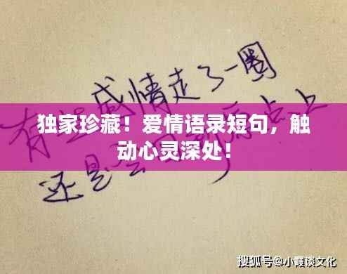 天罗地网 第2页