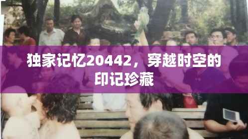 独家记忆20442,穿越时空的印记珍藏