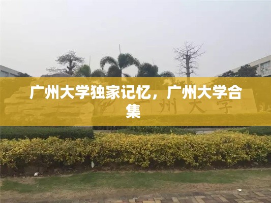 广州大学独家记忆,广州大学合集