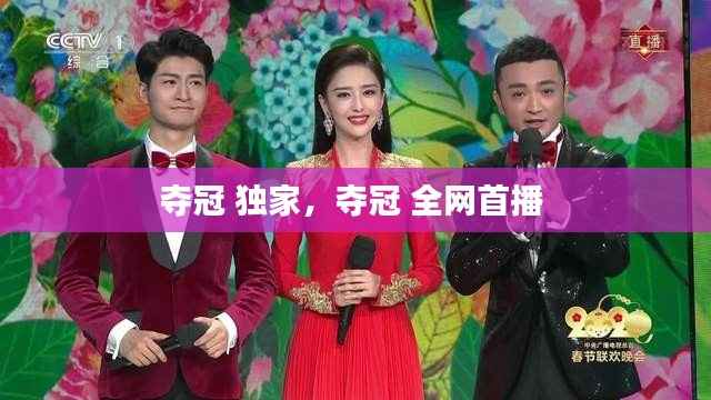 夺冠 独家,夺冠 全网首播