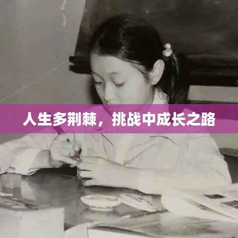 人生多荆棘,挑战中成长之路