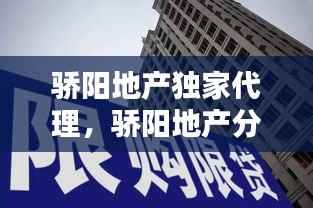 骄阳地产独家代理，骄阳地产分家了 