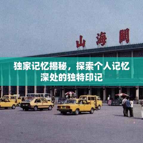 独家记忆揭秘,探索个人记忆深处的独特印记