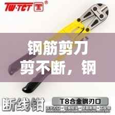 钢筋剪刀剪不断，钢筋剪子不齐怎么调 