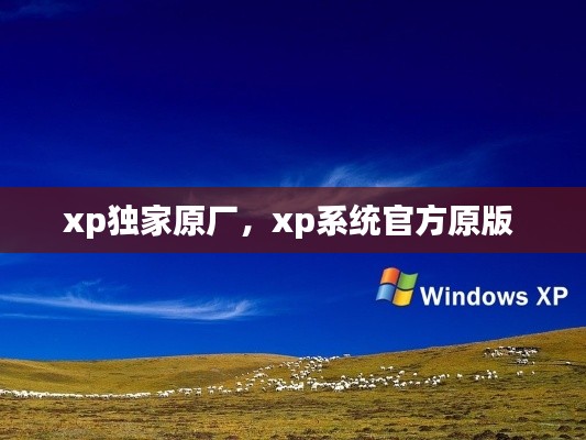 xp独家原厂,xp系统官方原版