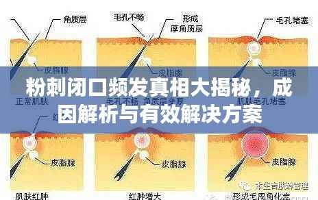 惨淡经营 第2页