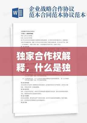 独家合作权解释,什么是独家协议