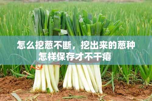 贵险贱璧 第2页