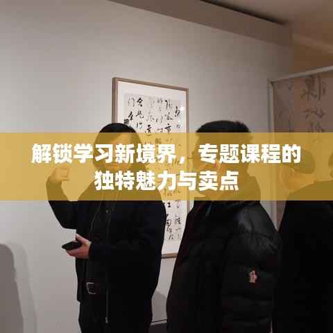 解锁学习新境界,专题课程的独特魅力与卖点