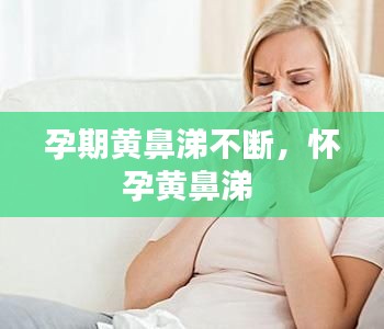富贵逼人来 第3页