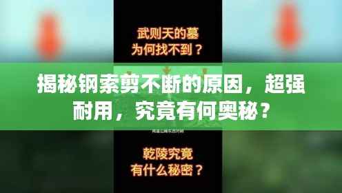 揭秘钢索剪不断的原因，超强耐用，究竟有何奥秘？