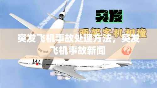 突发飞机事故处理方法,突发飞机事故新闻