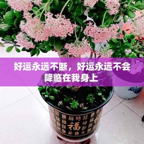 好运永远不断,好运永远不会降临在我身上