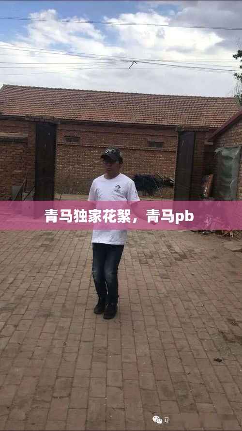 东张西望 第2页
