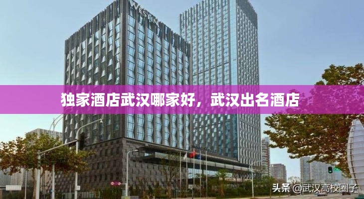 独家酒店武汉哪家好,武汉出名酒店