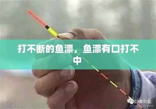 打不断的鱼漂,鱼漂有口打不中