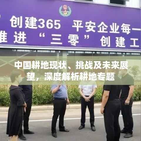 中国耕地现状、挑战及未来展望,深度解析耕地专题