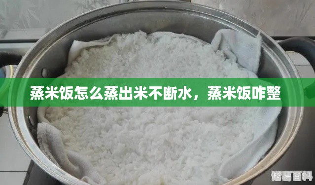 蒸米饭怎么蒸出米不断水,蒸米饭咋整