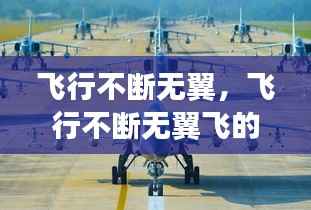 飞行不断无翼,飞行不断无翼飞的原因