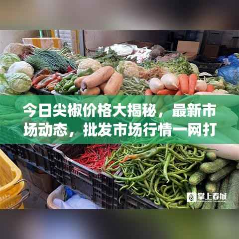 神气十足 第2页