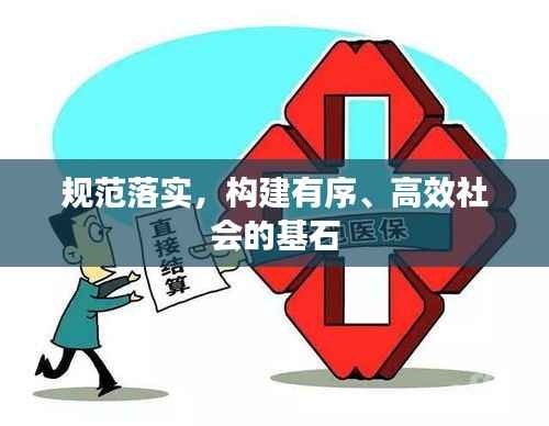 规范落实,构建有序、高效社会的基石