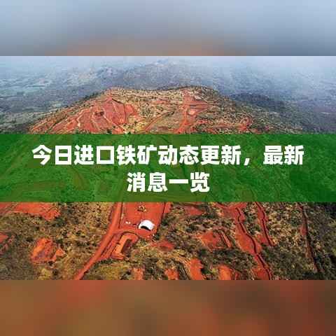 今日进口铁矿动态更新,最新消息一览