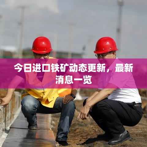 今日进口铁矿动态更新,最新消息一览