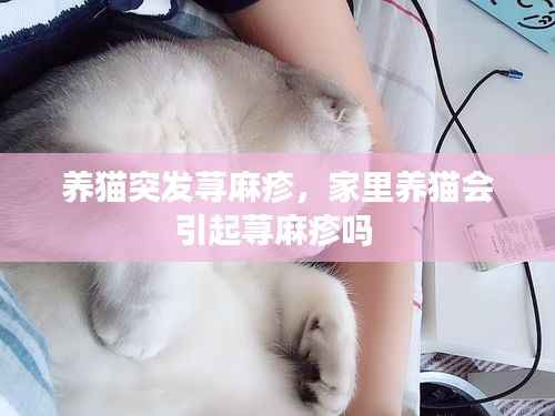 一心一意 第3页