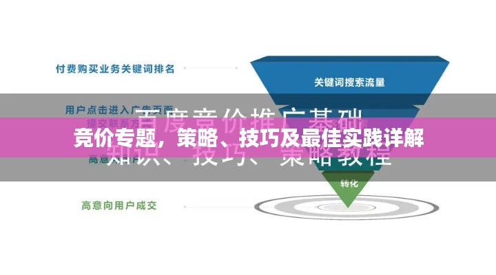 竞价专题,策略、技巧及最佳实践详解