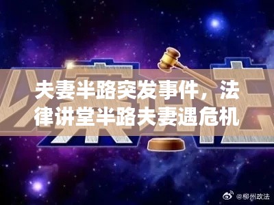 鸟栖虫居 第2页