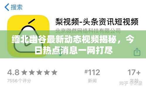 缅北幽谷最新动态视频揭秘,今日热点消息一网打尽