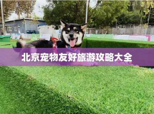 北京宠物友好旅游攻略大全