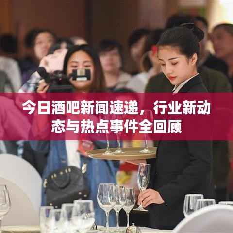 今日酒吧新闻速递,行业新动态与热点事件全回顾