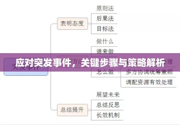 应对突发事件,关键步骤与策略解析