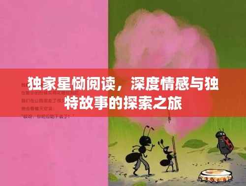 独家星恸阅读,深度情感与独特故事的探索之旅